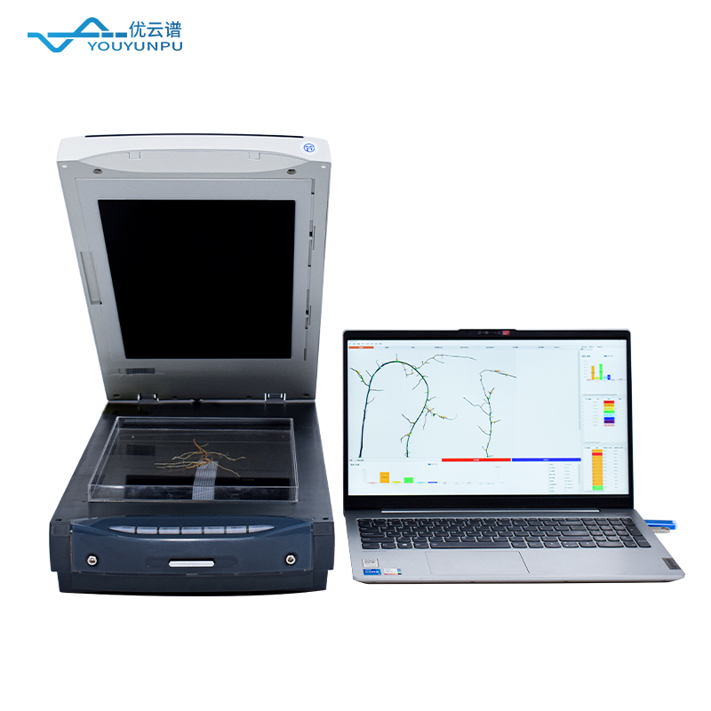 从根部看成长：根系分析仪在作物管理中的重要作用